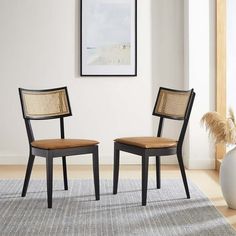 two chairs sitting next to each other on top of a rug