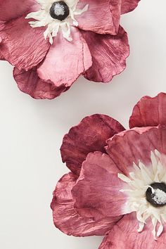 two pink flowers with white centers on a white surface