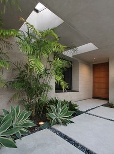 a house that has plants in front of it and a skylight above the door