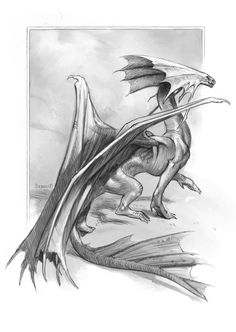 a black and white drawing of a dragon with its wings spread out in the air