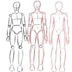 an image of three different body types in the form of mannequins, front and back view