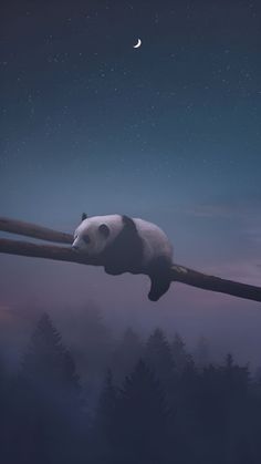 a panda bear is hanging upside down on a tree branch with the moon in the background