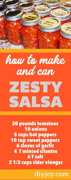 how to make and can zesty salsa