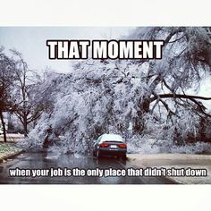 a car driving down a street next to a tree with snow on it and the caption that moment when your job is the only place that didn't shut down