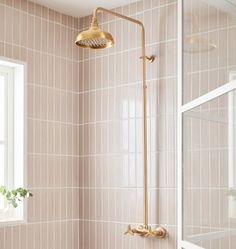 the shower head is gold in color and it's next to a window with a potted plant