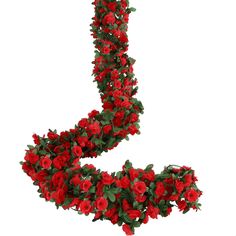 red flowers are arranged in the shape of a letter