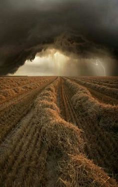 a black and white photo of a storm coming in over a farm field with crops