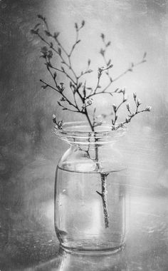 black and white photograph of flowers in a glass jar