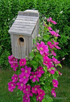 a bird house sitting on top of a bush filled with purple flowers and greenery