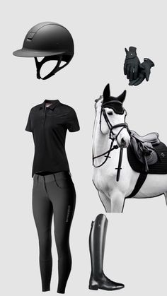 the horse is wearing all black and has riding gear on its head, boots, and helmet