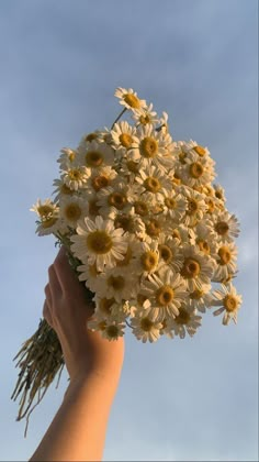 a hand holding a bouquet of daisies against a blue sky