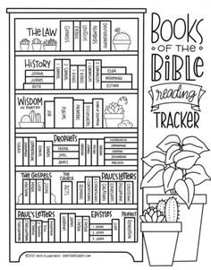 a book shelf with books on the bible and a potted plant in front of it