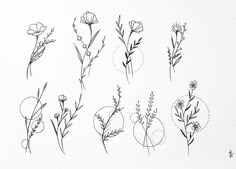 various flowers are shown in black and white on a sheet of paper with the words, wildflowers