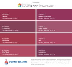 the color scheme for colorsnap visualizer is shown in red and purple, with different