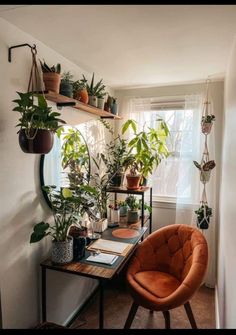 a room with some plants on shelves and a chair in front of the window,