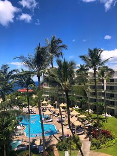 an aerial view of a resort pool and palm trees with the ocean in the background