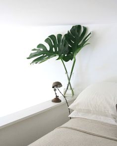 a bed with white sheets and a large green plant on the headboard next to it