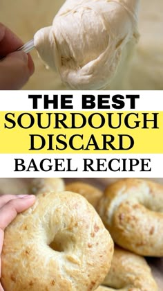 the best sourdough discard bagel recipe is made with only three ingredients