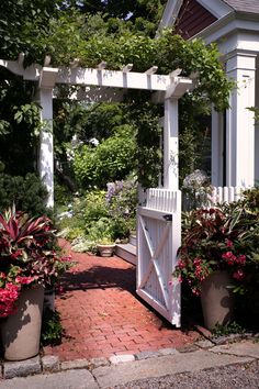 a white wooden gate surrounded by potted plants