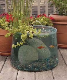 there is a fish pond in the middle of some potted plants