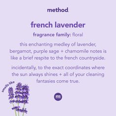 lavender flowers with the words method for french lavender