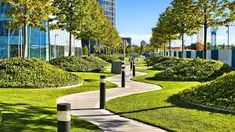 a walkway in the middle of a park with grass and trees on both sides, surrounded by tall buildings