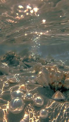 an underwater view of shells and bubbles in the water