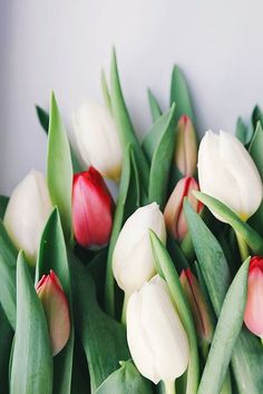 tulips with green leaves and red tips are arranged in a bouquet on a table