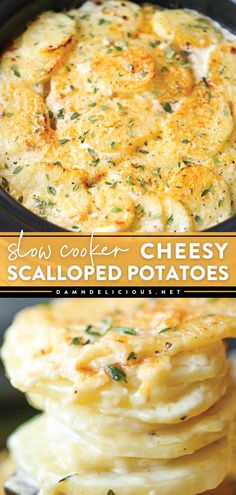 The perfect Thanksgiving side dish idea! Your Thanksgiving dinner menu must have this crockpot potato recipe. Not only are these slow cooker scalloped potatoes easy, but they are also creamy, cheesy, and delicious! Potato Recipes Crockpot, Slow Cooker Scalloped Potatoes, Cheesy Scalloped Potatoes Recipe, Meals Crockpot, Cheesy Scalloped Potatoes, Scalloped Potatoes Recipe, Easy Crockpot Dinners