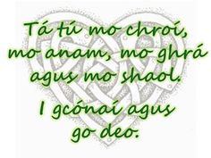 a green heart with the words i'm no chaos, no anan, no g