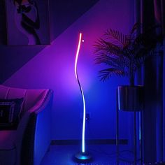 a purple and blue room with a plant on the floor next to a lamp that is lit up