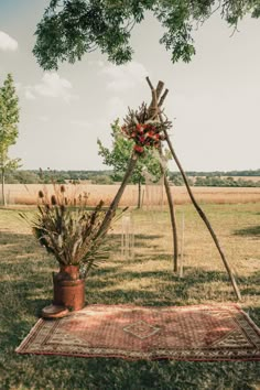 an outdoor area with a rug, potted plant and teepee