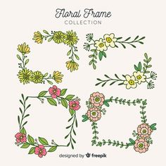 floral frame collection with flowers and leaves