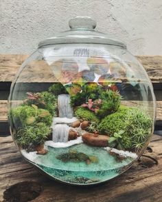 a fish bowl filled with water and plants