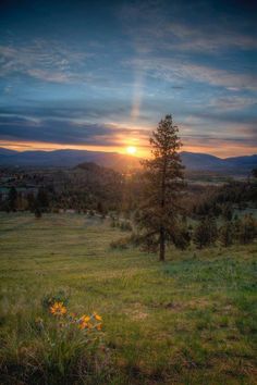 the sun is setting over a field with trees and mountains in the distance, as seen from an overlook