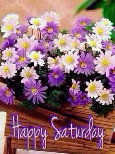 purple and white flowers in a basket with the words happy saturday on it's side