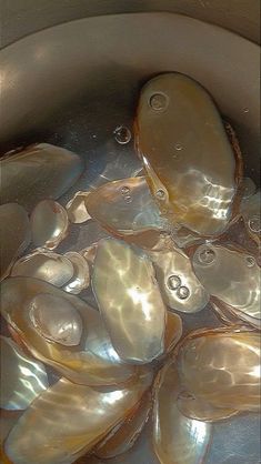 a pot filled with lots of clams sitting on top of a stove