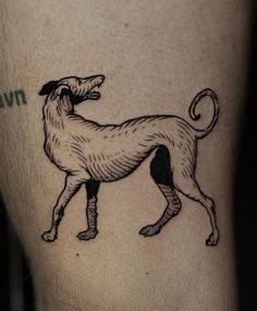 a black and white drawing of a dog on the leg