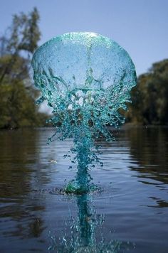 an image of a jellyfish in the water with it's head sticking out