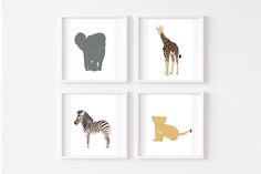 four framed pictures of animals on a wall