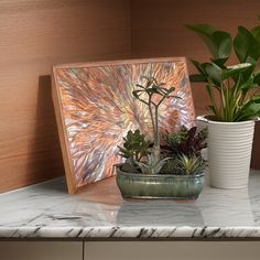 two plants are sitting on a marble countertop in front of a framed art piece