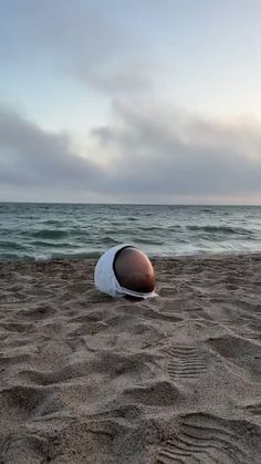 an egg laying on top of a sandy beach next to the ocean