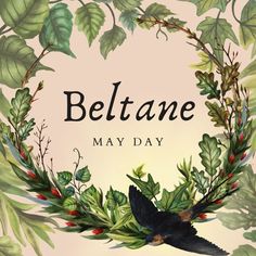 a bird sitting on top of a green leafy wreath with the words, beltane may day