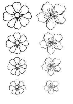 four different flowers are shown in black and white, with one flower on the left side