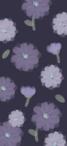 an image of purple flowers on a black background