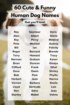 a dog with the words'60 cute & funny human dog names that you'll love