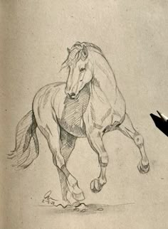 a pencil drawing of a horse running on the ground with it's front legs spread out