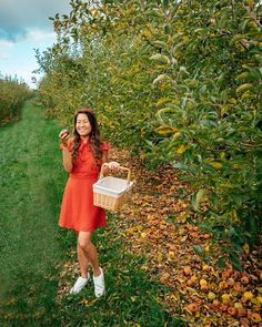 a woman standing in an apple orchard holding a basket