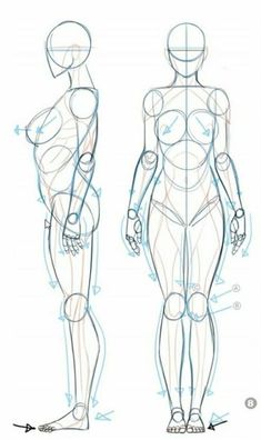 an image of a woman's body with the outlines for each part of it