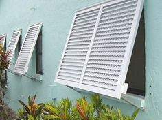 an open window on the side of a blue building with white shutters and green plants